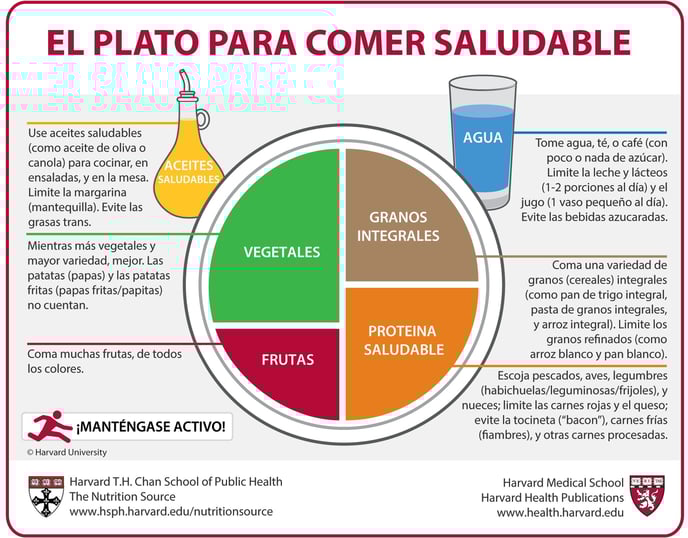 COMO PREPARAR PLATOS SALUDABLES.Plato saludable Harvard